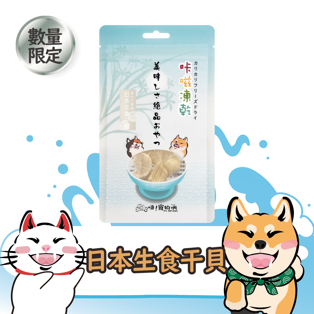 日本生食干貝